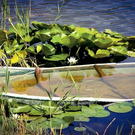 Appartement Skyline Mostar