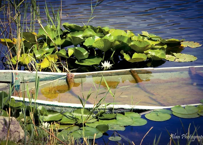דירה Skyline מוסטר